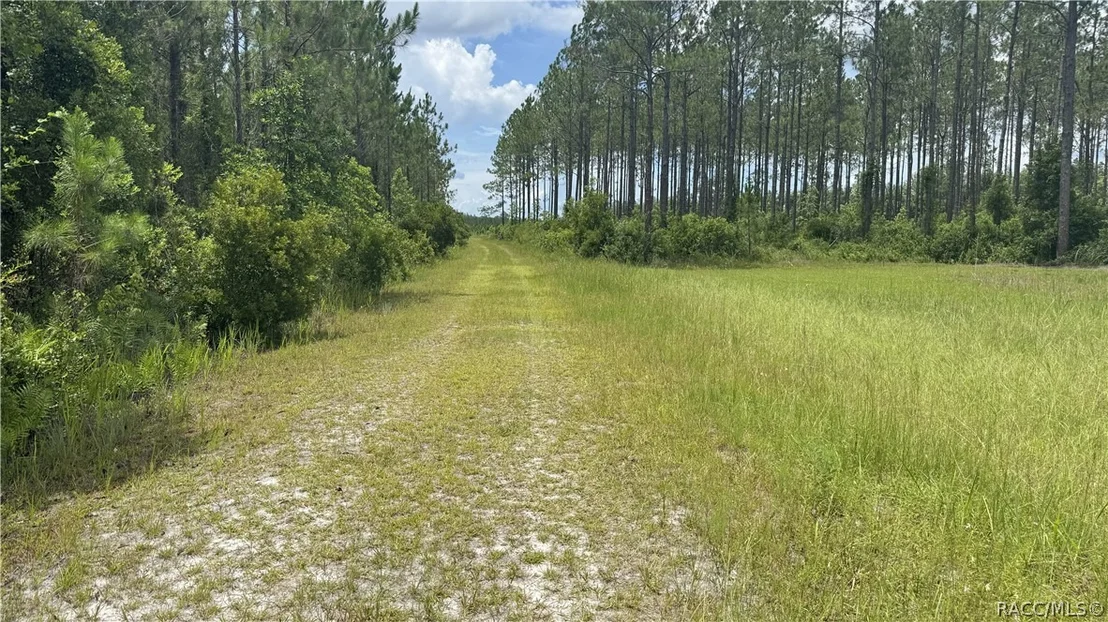 Photo of 0 US HWY 441 N
