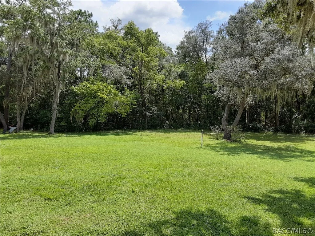Photo of 1350 W Buttonbush Drive