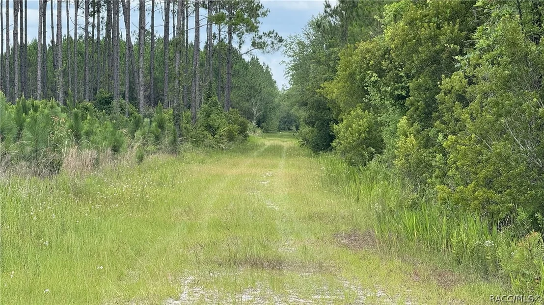 Photo of 0 US HWY 441 N