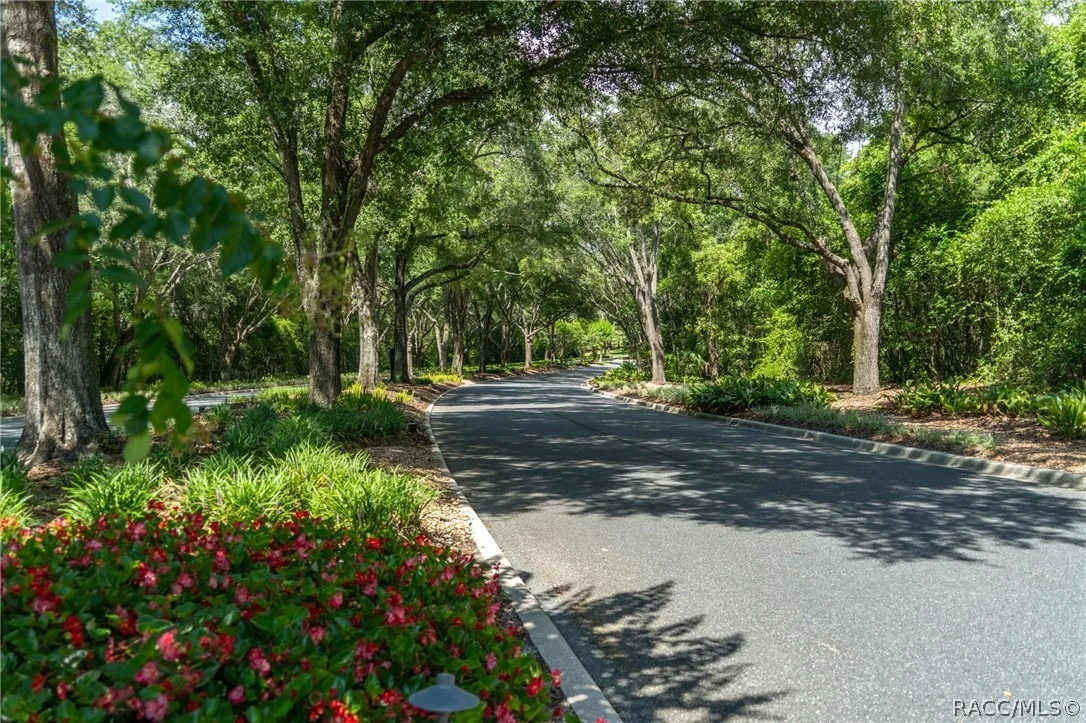 Photo of 4695 N Pine Valley Loop