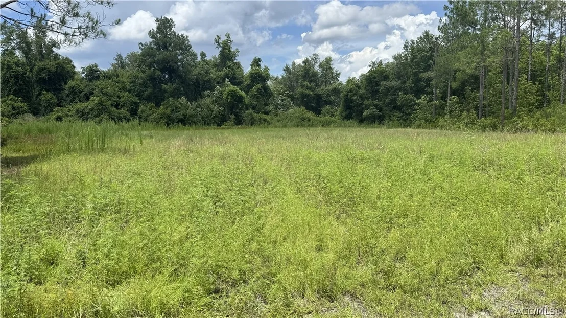 Photo of 0 US HWY 441 N