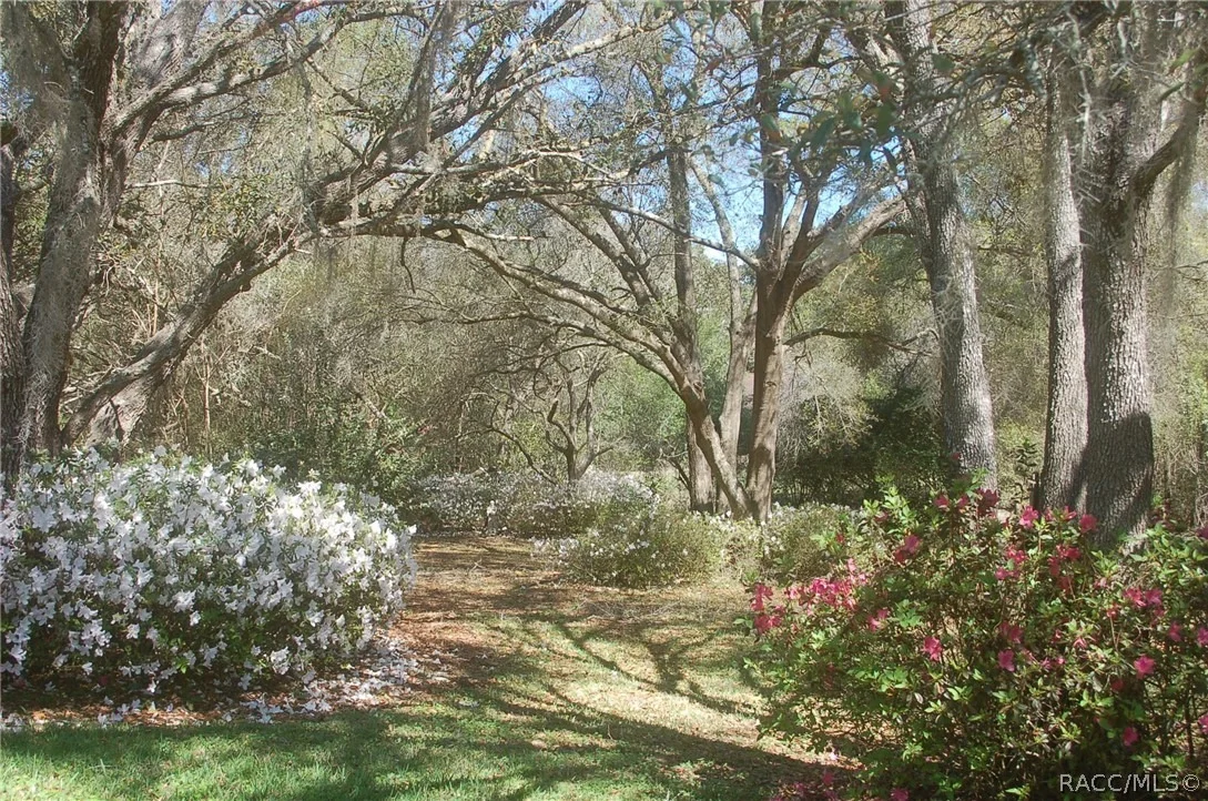 Photo of 4161 N Longvalley Road