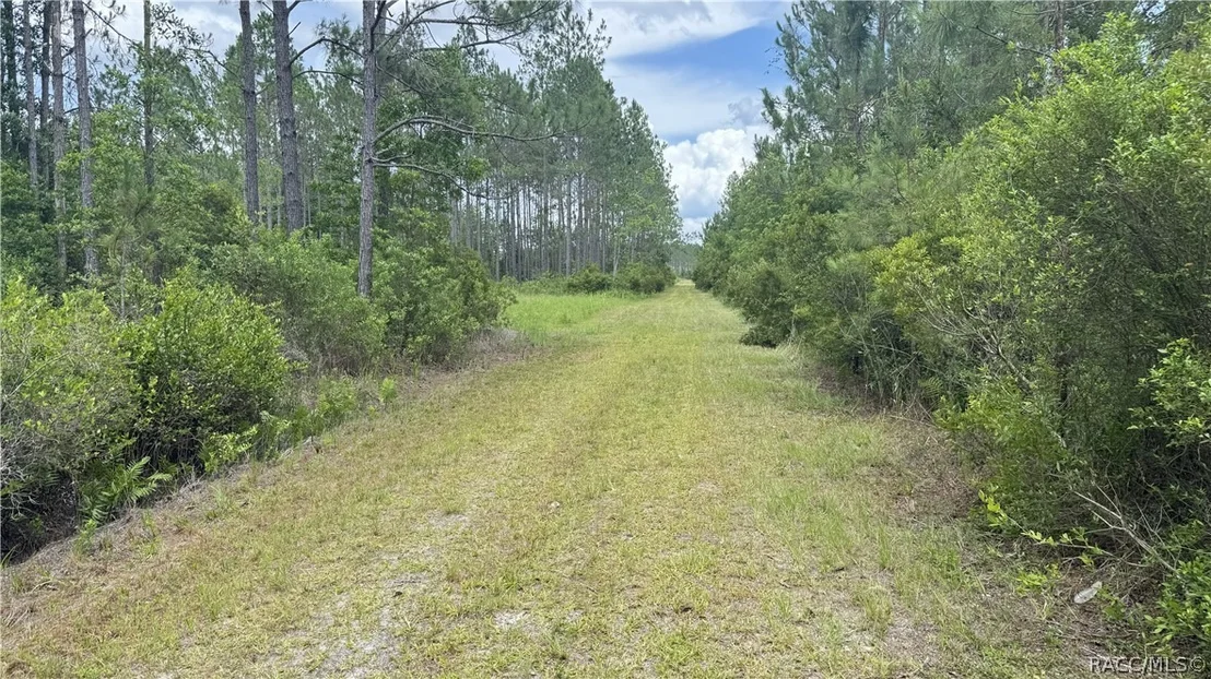 Photo of 0 US HWY 441 N