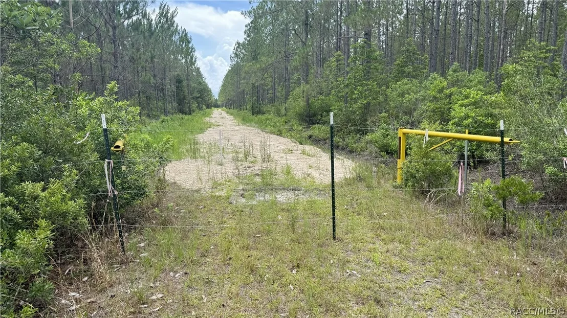 Photo of 0 US HWY 441 N