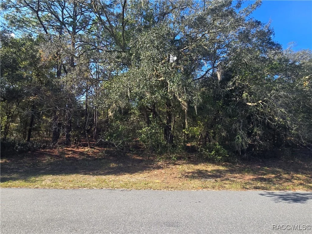 Photo of 11370 N Ortega Point