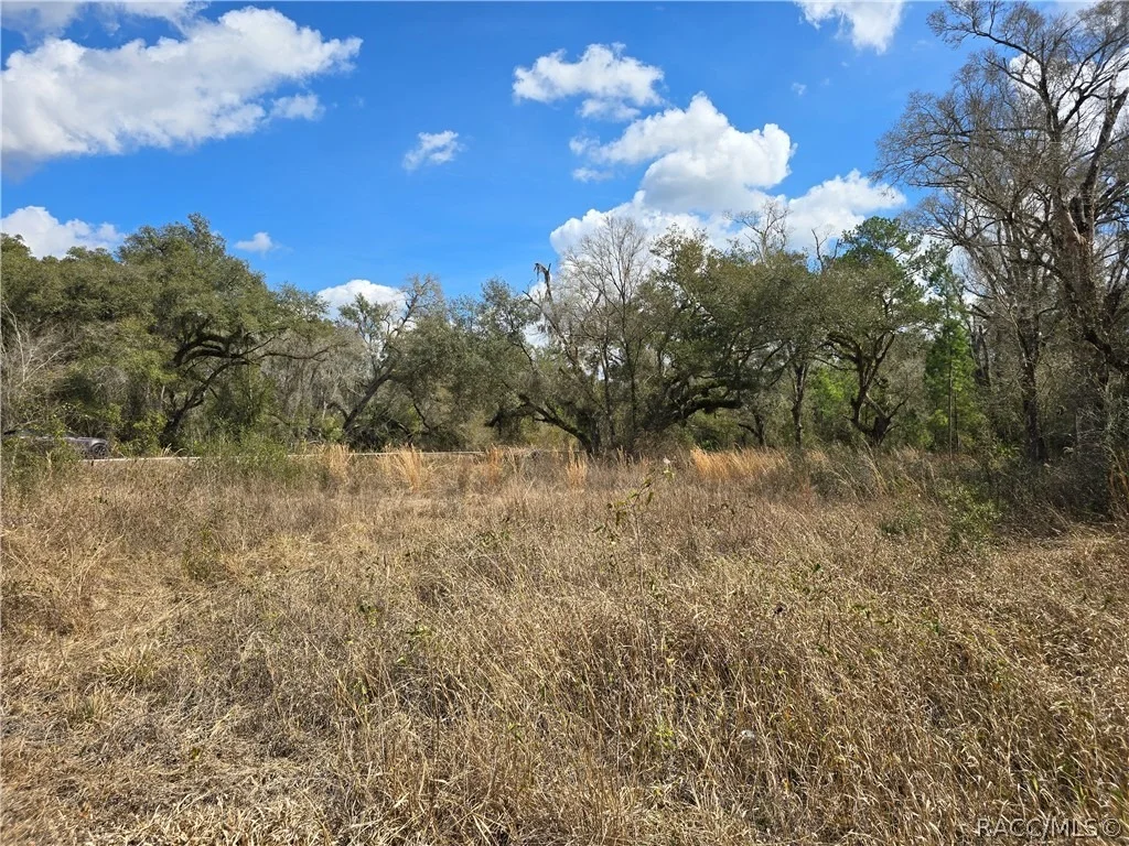 Photo of 6436 Yam Street