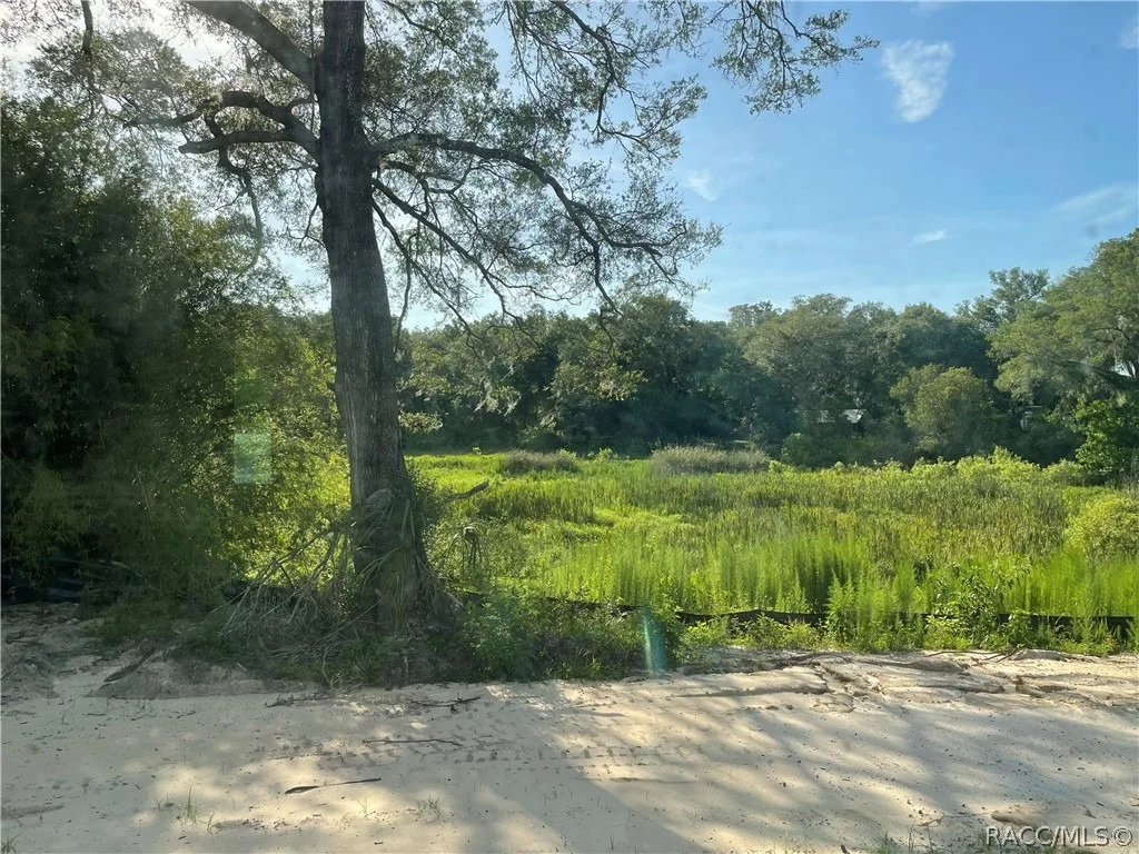 Photo of 6532 N Iris Drive