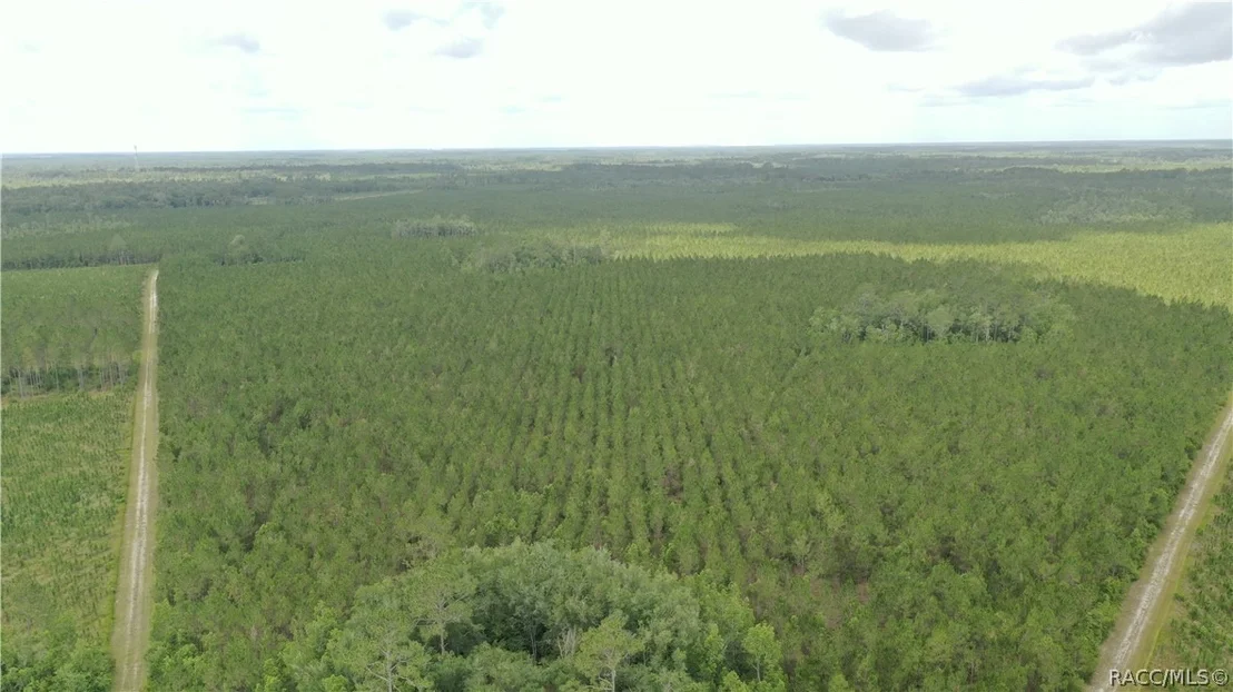 Photo of 0 US HWY 441 N