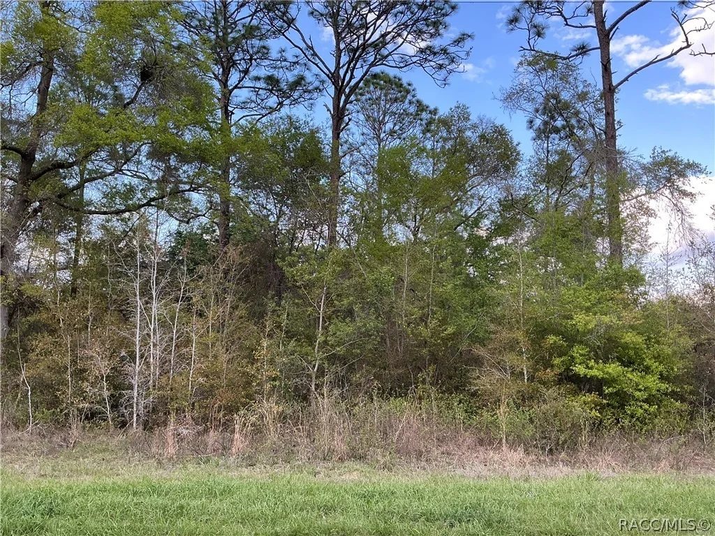 Photo of 8749 N Upland Drive