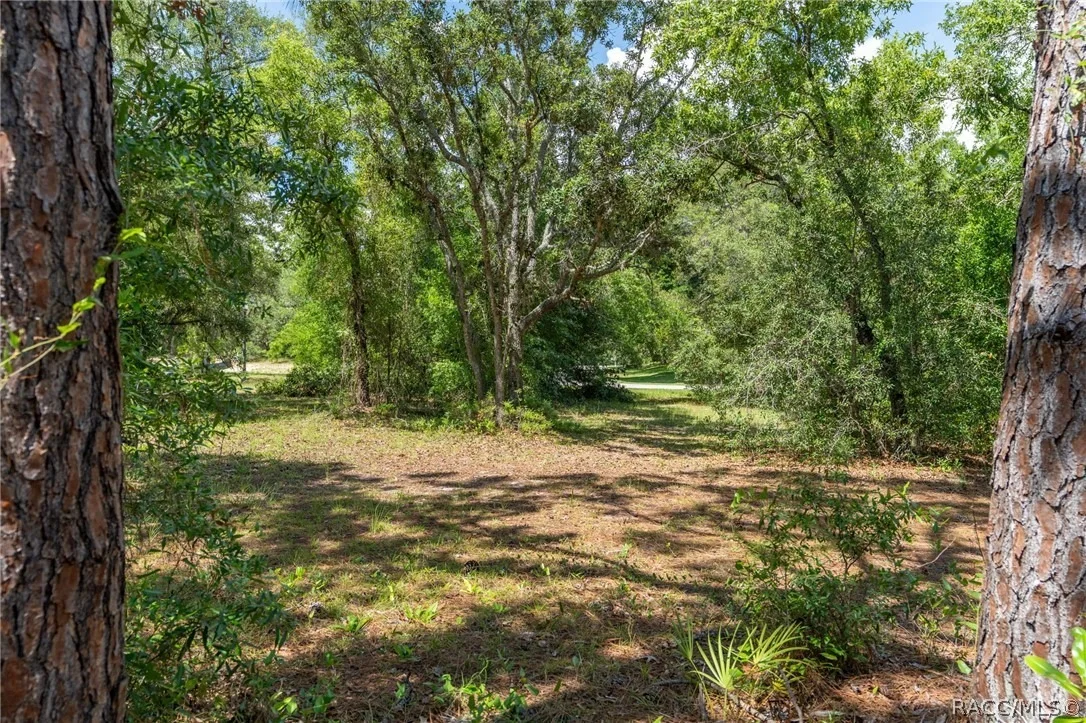 Photo of 4695 N Pine Valley Loop