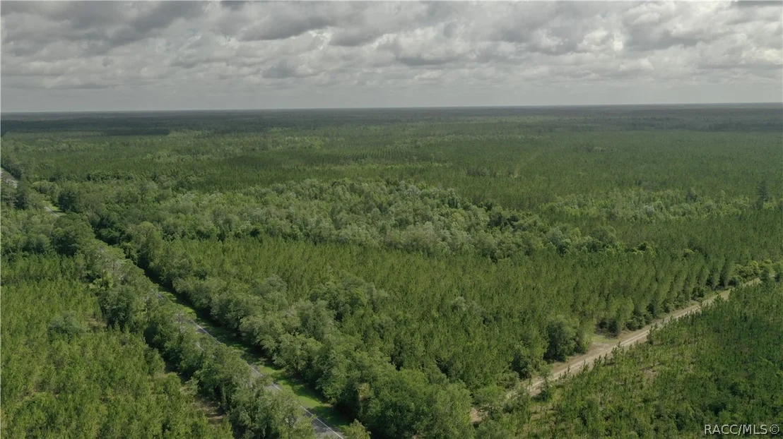 Photo of 0 US HWY 441 N