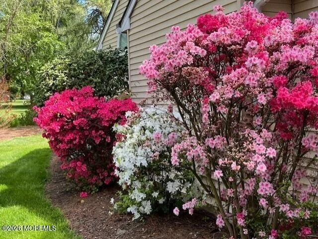 Photo of 65 Alexander Drive