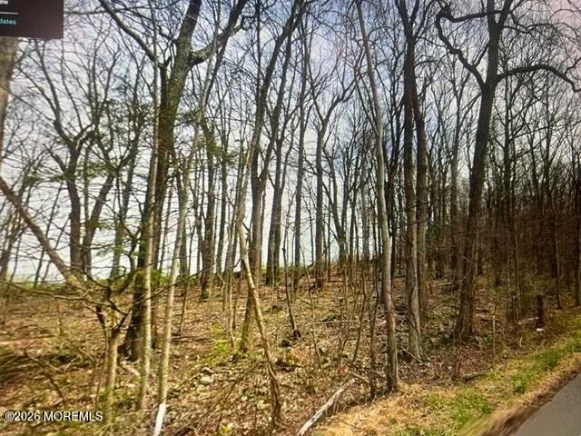 Photo of 0 County Road 519