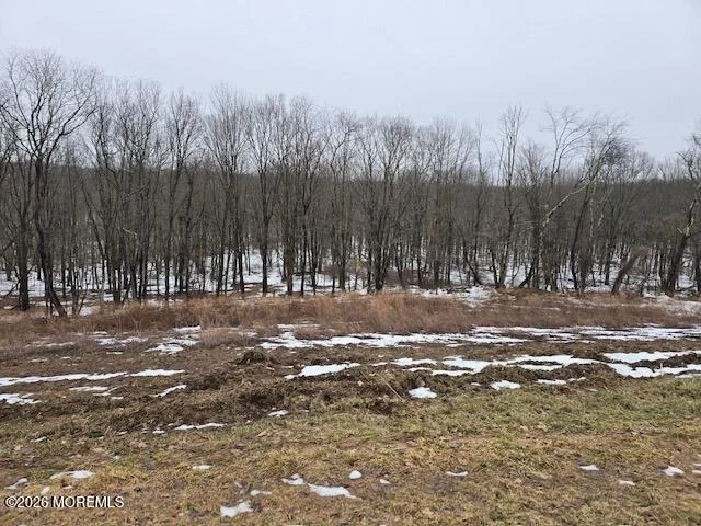 Photo of 0 County Road 519