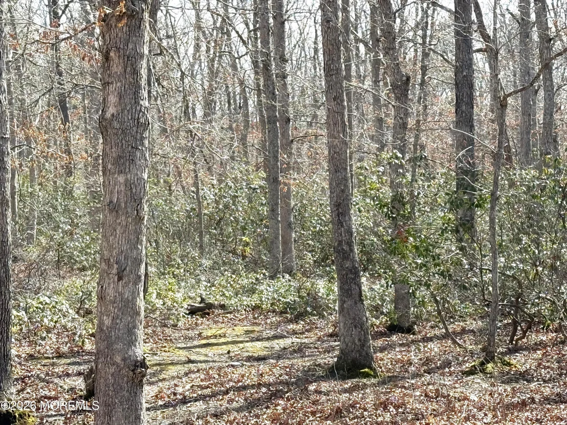 Photo of 0 Cedar Bridge Road
