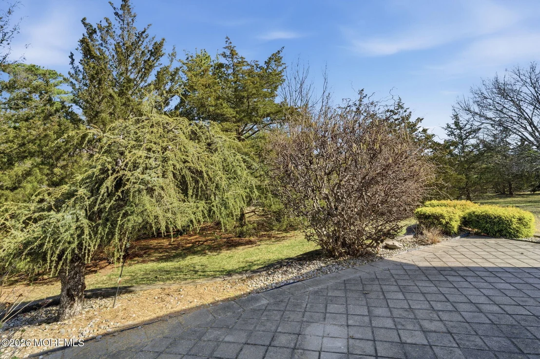 Photo of 11 Ripple Terrace
