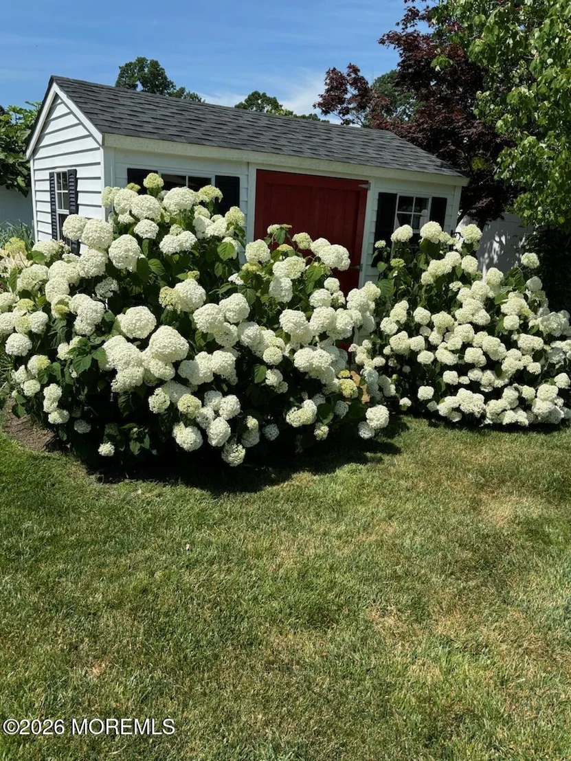 Photo of 16 Harmony Lane