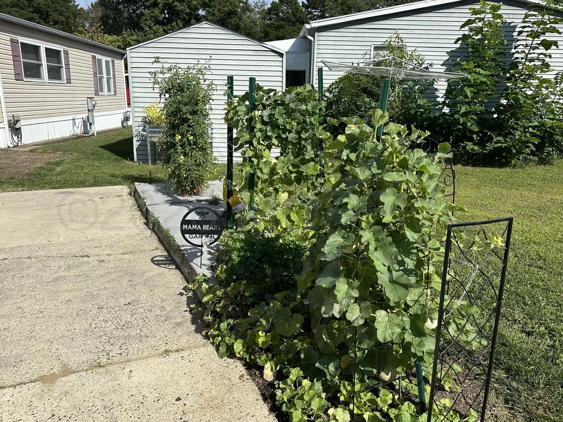 Photo of 13 Judith Way