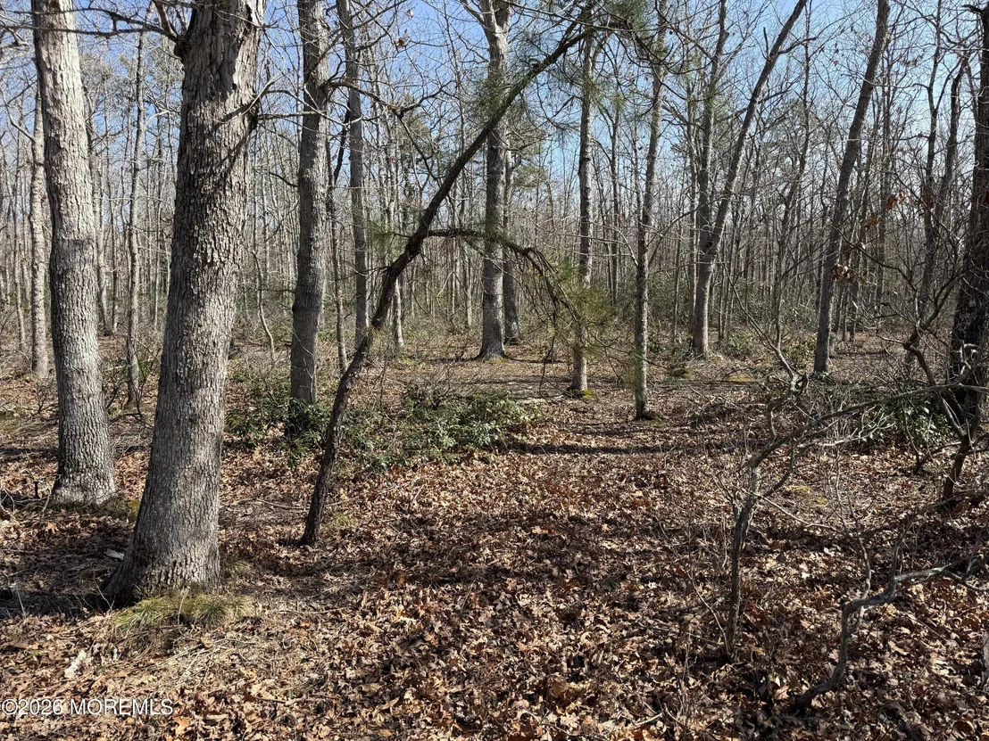 Photo of 0 Cedar Bridge Road
