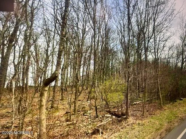 Photo of 0 County Road 519