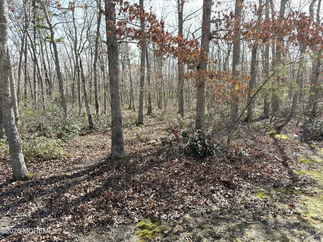 Photo of 0 Cedar Bridge Road