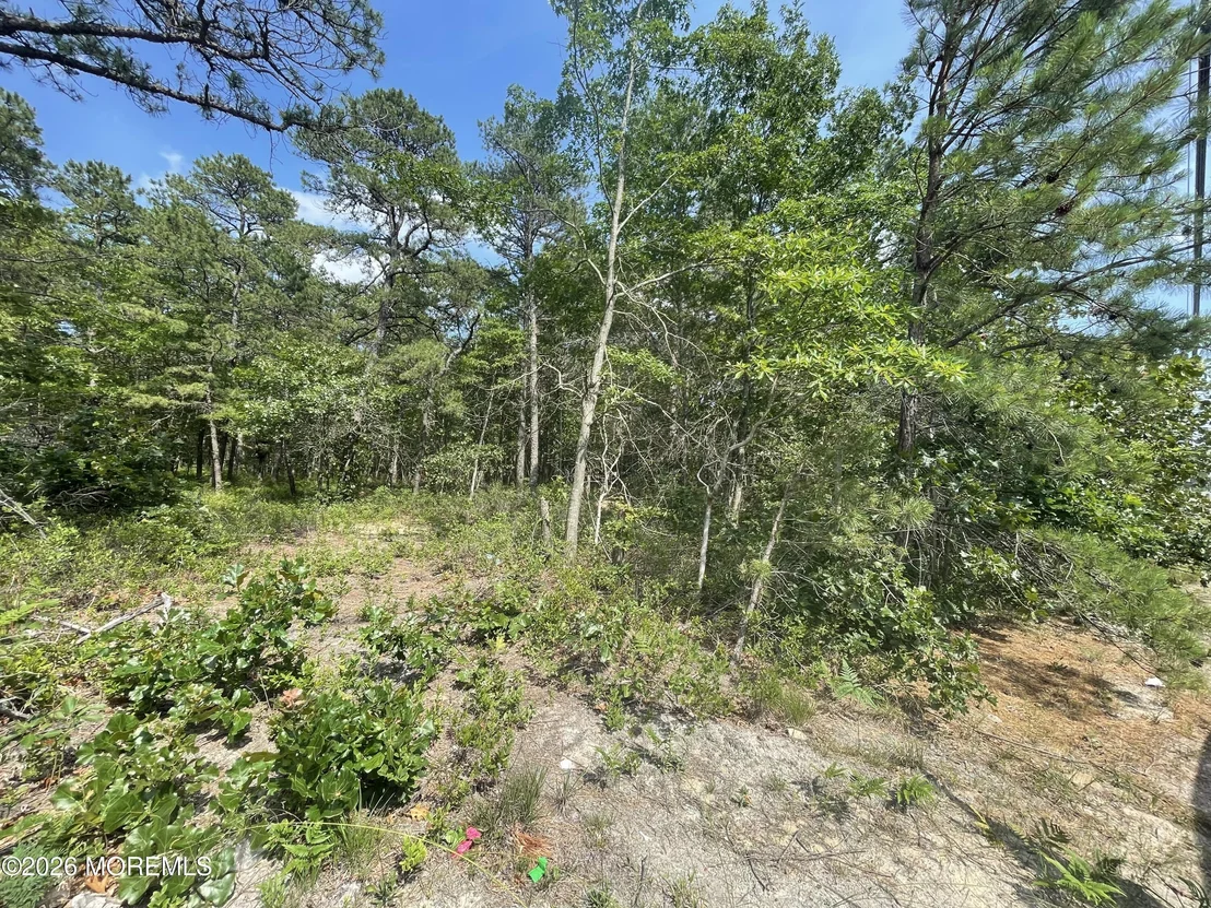 Photo of 1463 Route 539