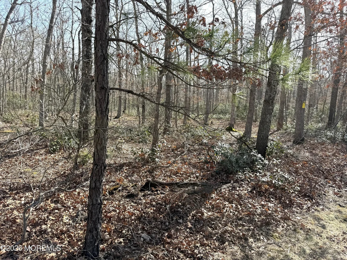 Photo of 0 Cedar Bridge Road