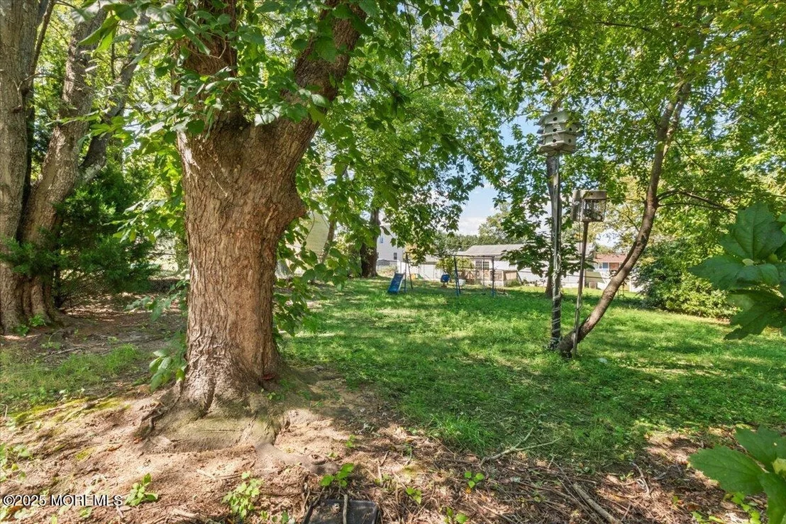 Photo of 8 Hawaii Road