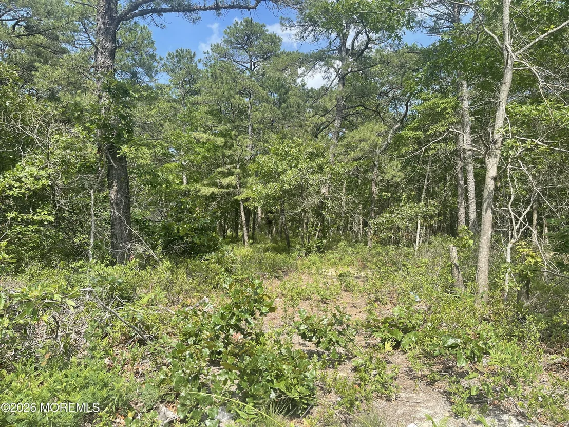 Photo of 1463 Route 539