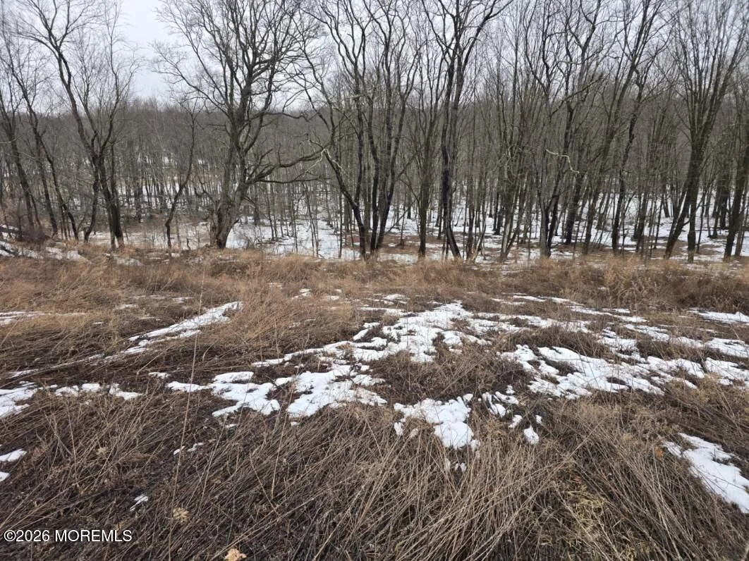 Photo of 0 County Road 519