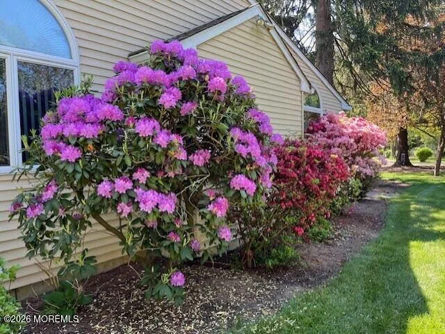 Photo of 65 Alexander Drive