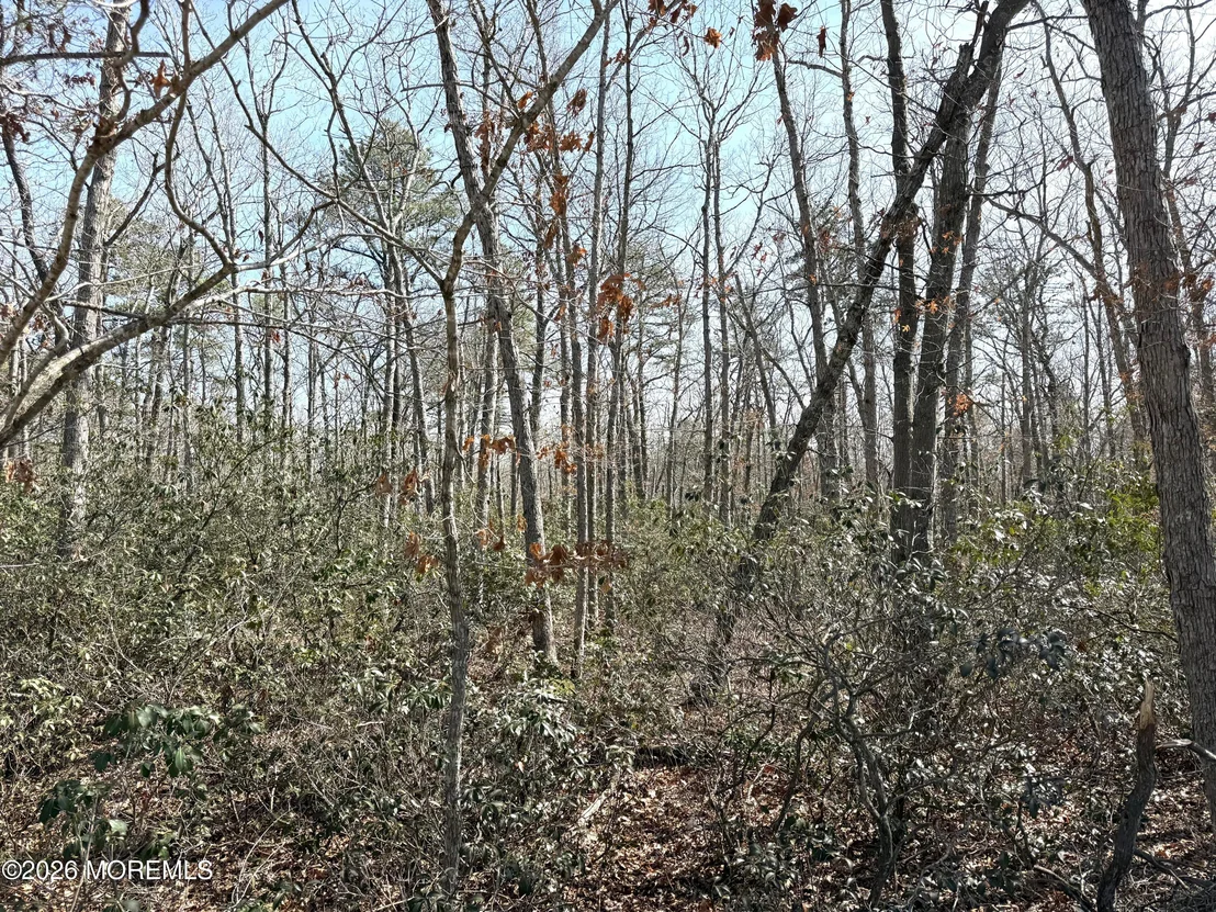 Photo of 0 Cedar Bridge Road