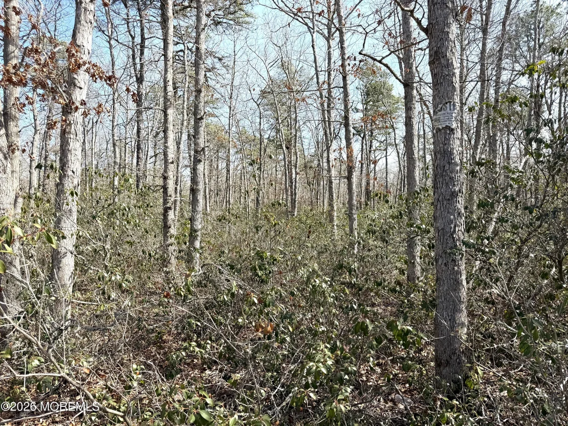 Photo of 0 Cedar Bridge Road
