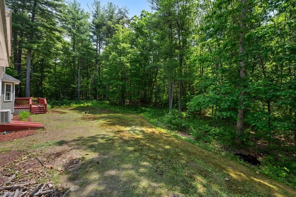 Photo of 151 Sterling Road