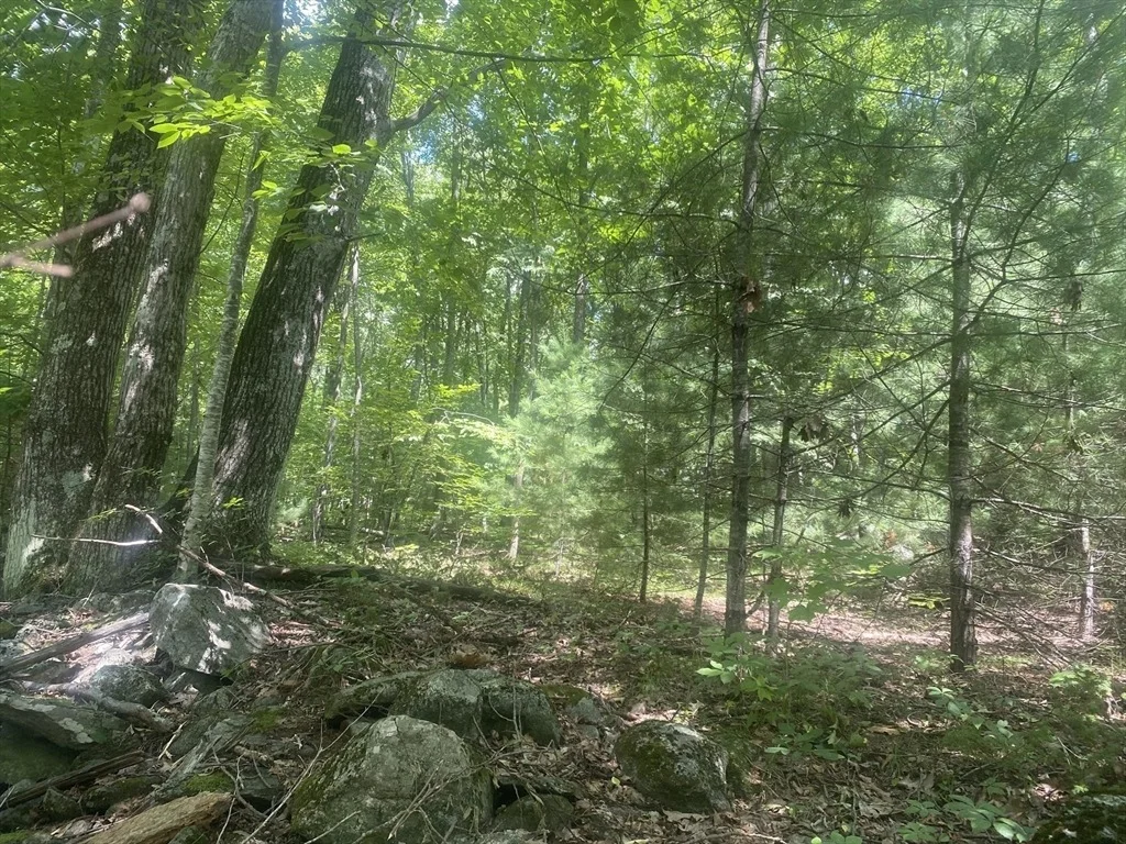 Photo of Tract 7 Delargy Rd