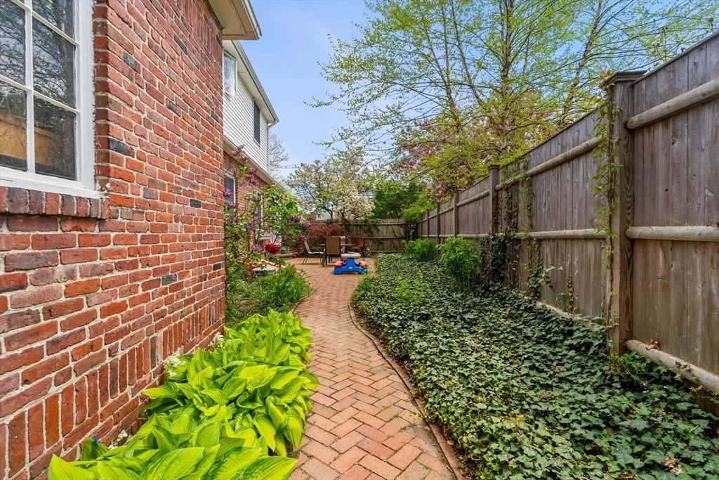Photo of 2 Cedar