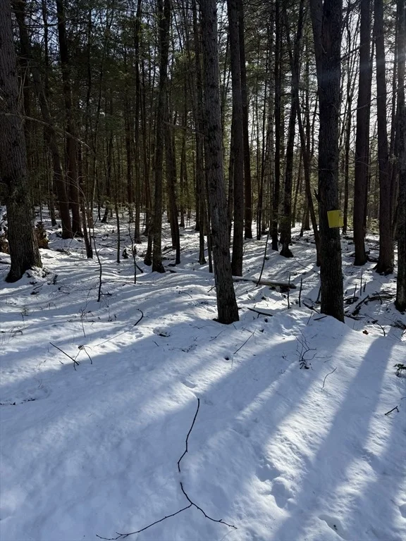 Photo of 0 Four Mile Brook Rd