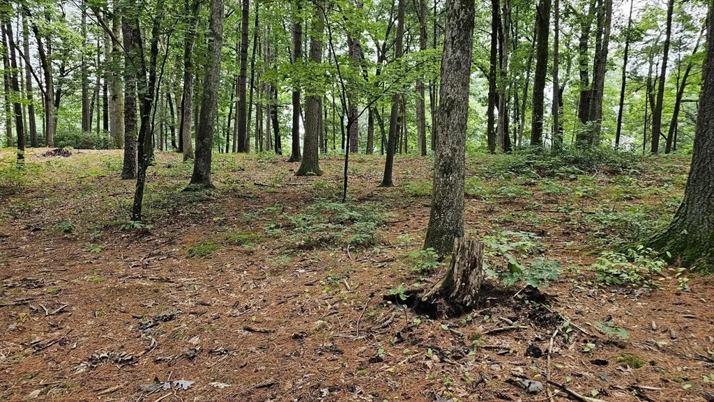 Photo of 723 Ryan Road, Lot B