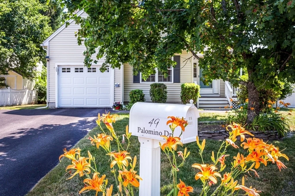Photo of 49 Palomino Dr