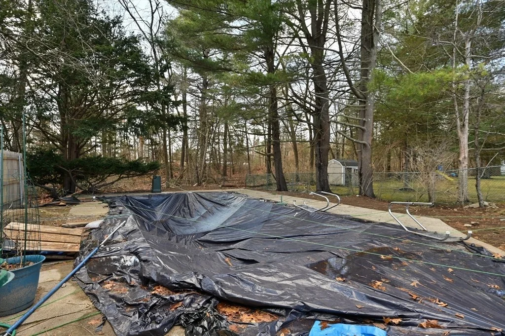 Photo of 20 Springvale Rd