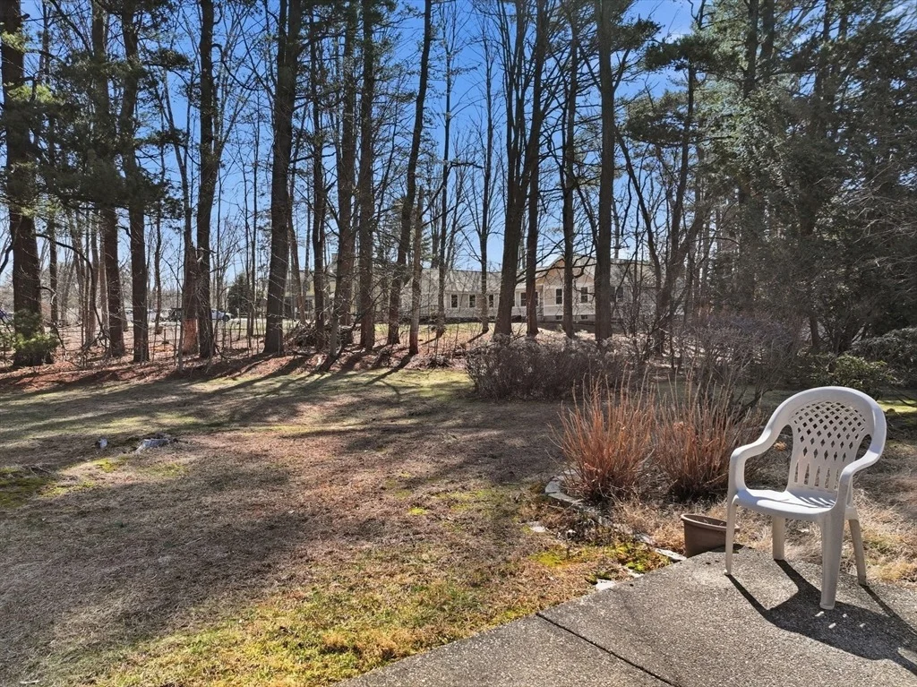 Photo of 7 Little Tree Ln