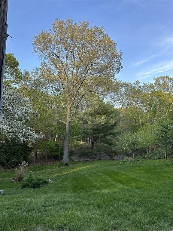 Photo of 2 Orchard Lane