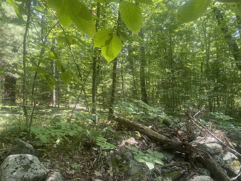 Photo of Tract 7 Delargy Rd