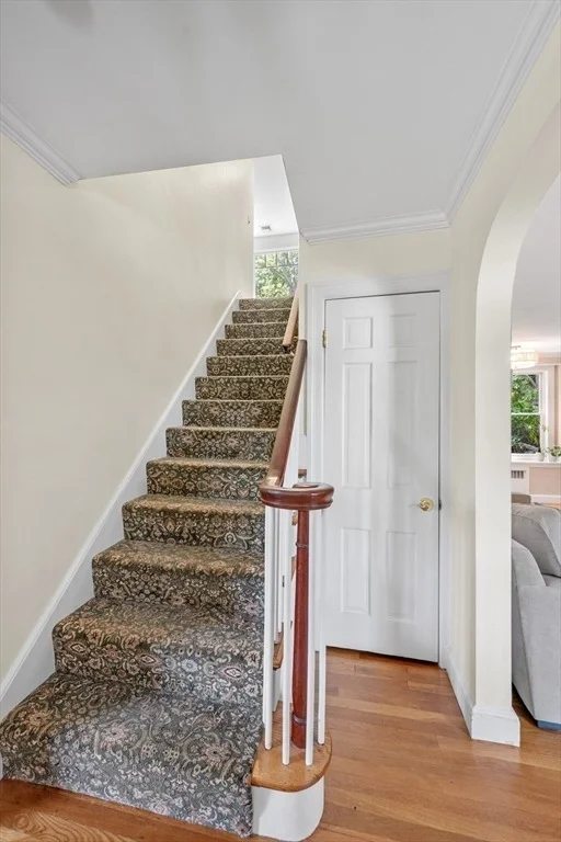 Photo of 77 Shelton Road