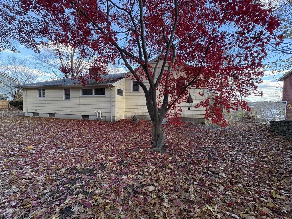 Photo of 22 Roy St