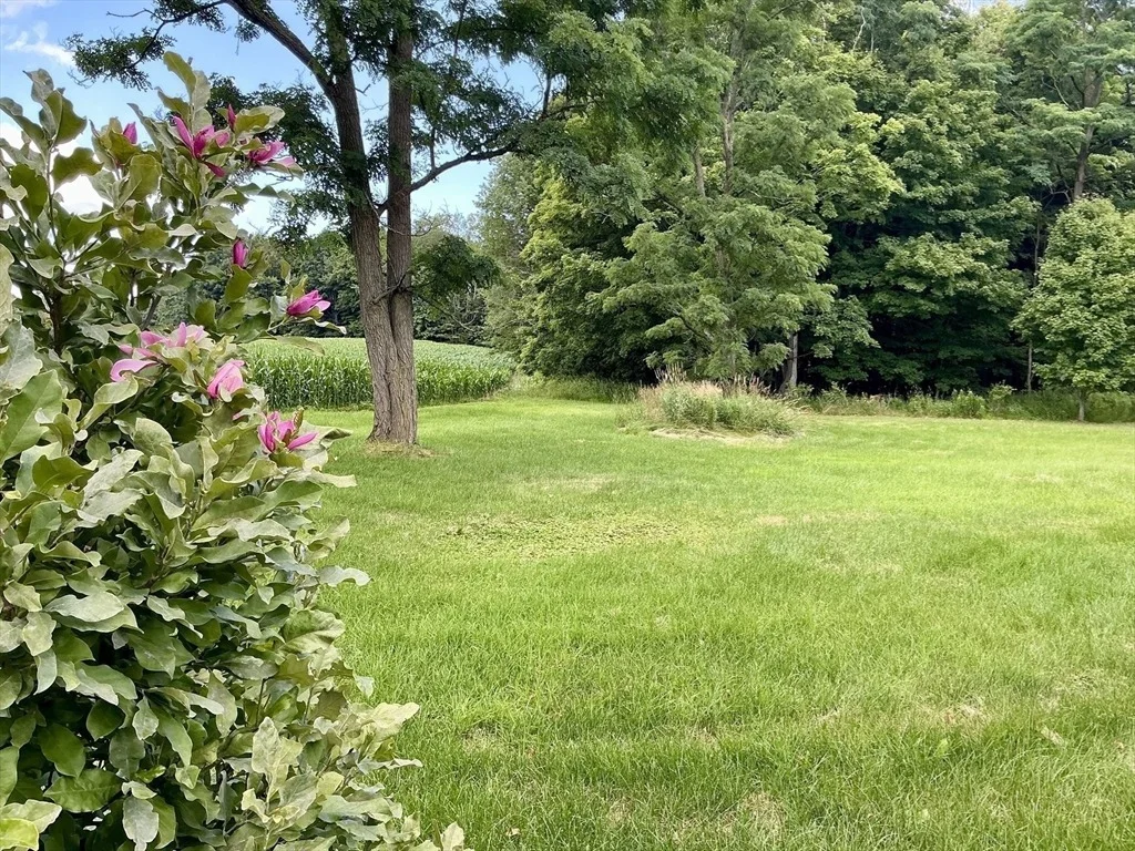 Photo of 238 Briar Hill Rd