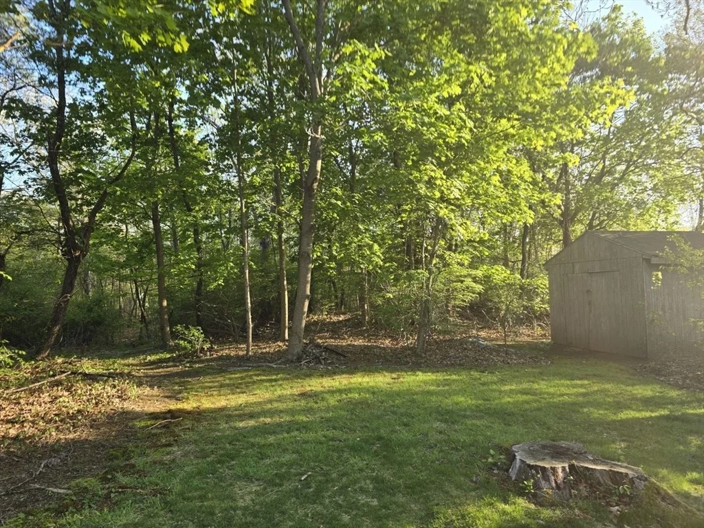 Photo of 217 Mill Street