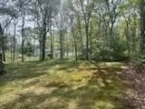 Photo of 97 Snake Pond Rd