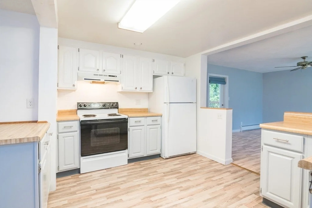 Photo of 56 Warner St