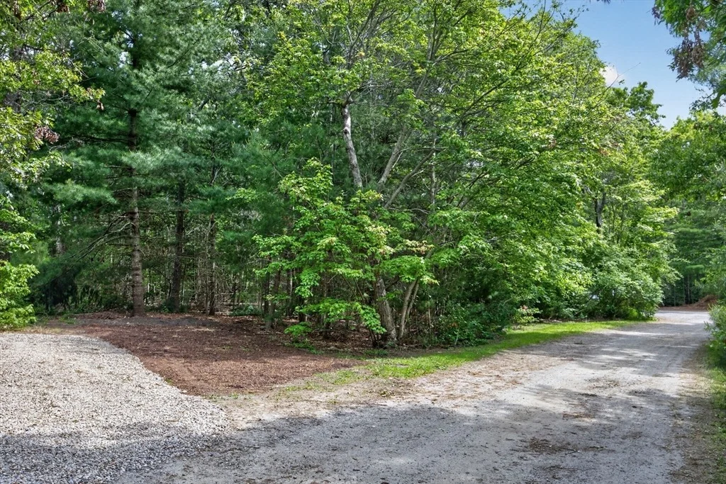 Photo of 20 Hirsch